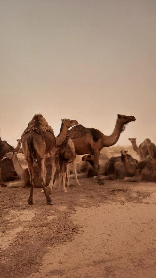 فندق Dar Ilyana Ait Tiourhza المظهر الخارجي الصورة